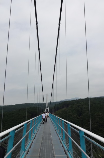 平成27年12月14日にオープンした、日本一の大吊橋（全長400ｍ）『三島スカイウォーク』