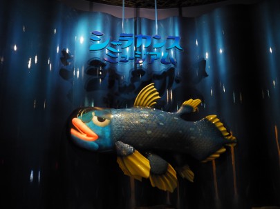 『沼津港深海水族館~シーラカンス・ミュージアム~』 最深部2500ｍにもなる日本一深い湾・駿河湾をはじめ、世界中から集めた希少な深海生物を展示しています。