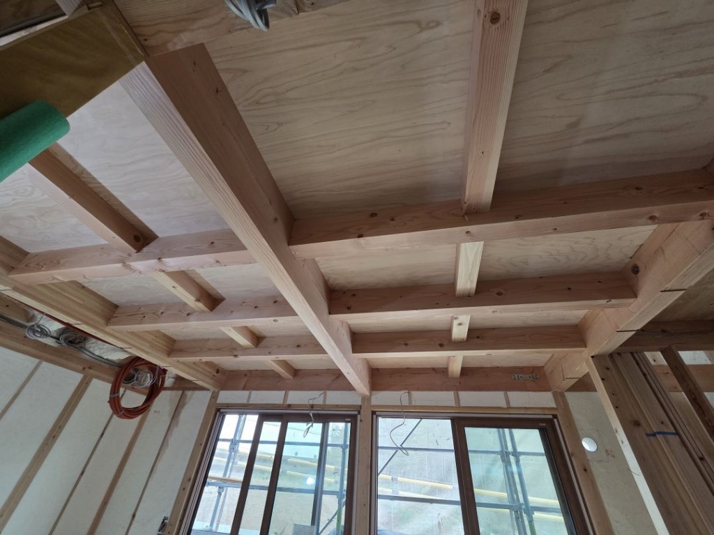 20250623_120335_compressed